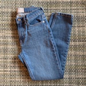 Everlane High Rise Skinny Size 27